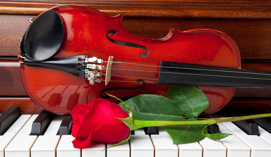 Violin-Piano-Rose